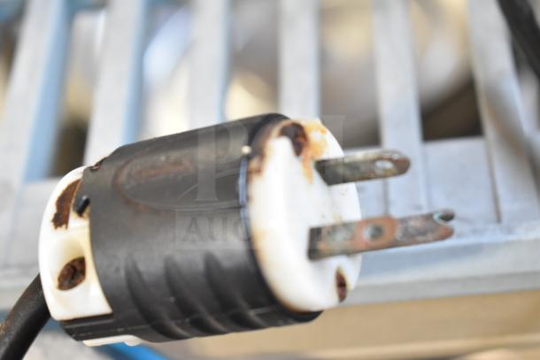 Close-up of a rusted, two-prong power plug attached to the Mazzer Luigi Super Jolly Auto espresso grinder. Hopper damaged.