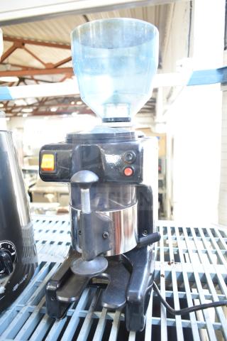 Commercial countertop espresso bean grinder without lid, 120 volts, 1 phase, black body with visible buttons and power cord.