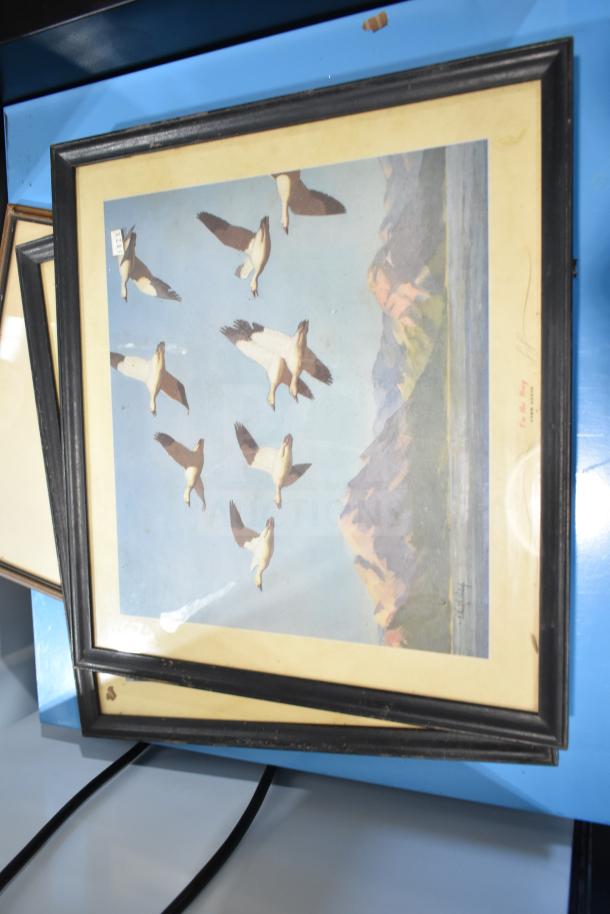 Framed picture featuring birds in flight over mountains, with a vintage finish. Part of a set of 6 items including The Book of Kells.