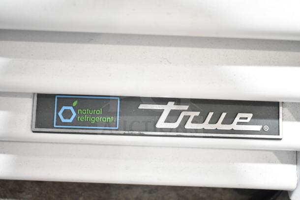 True TSCI-600R-G-PH cooler logo and natural refrigerant label detail.