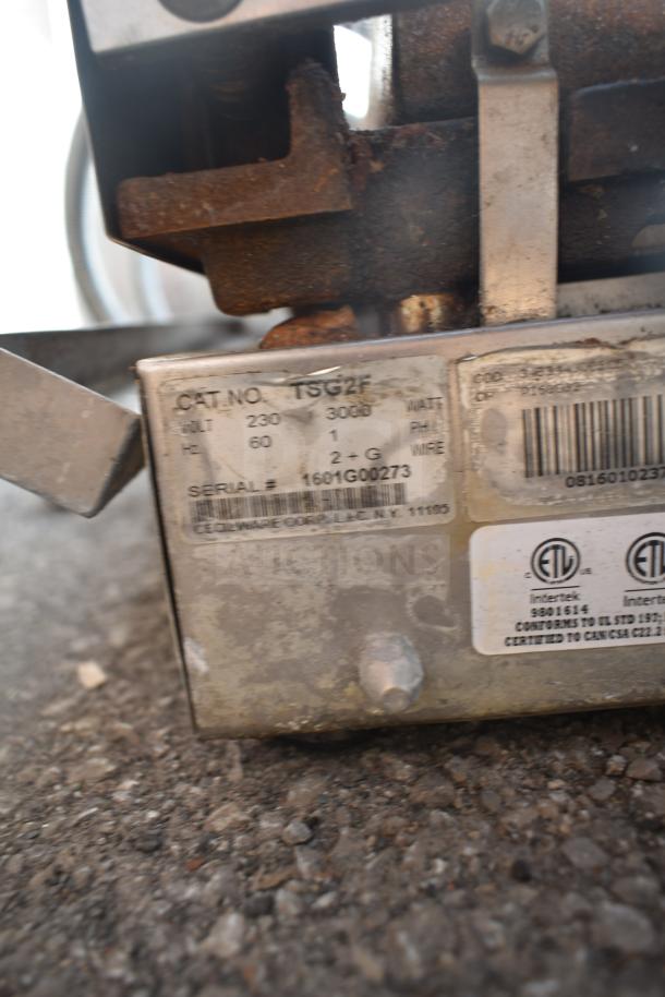 Cecilware TSG2F Countertop Double Panini Press, 230V, 1 Phase. Visible label with model details and safety certifications.