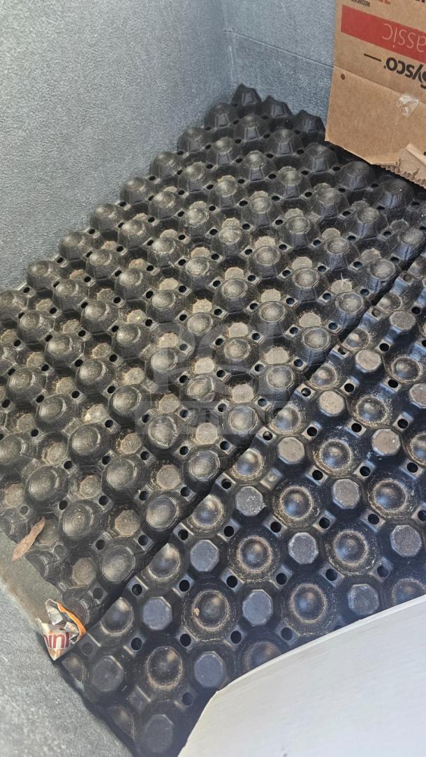 Outdoor upright single solid-door ice merchandiser, features durable black rubber matting inside, slight wear visible.