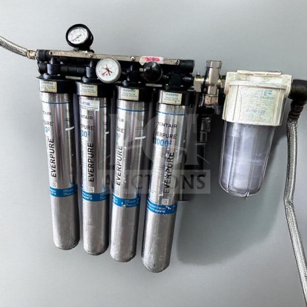 Superior condition Pentair Everpure 20002 commercial water filtration system, multi-cartridge, fully tested, operational.
