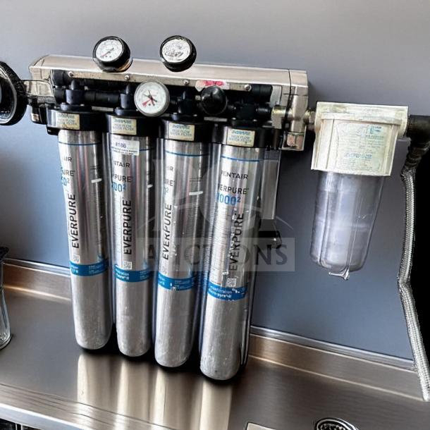 Pentair Everpure 20002 commercial water filtration system, multi-cartridge, fully operational, superior condition, model 20002.