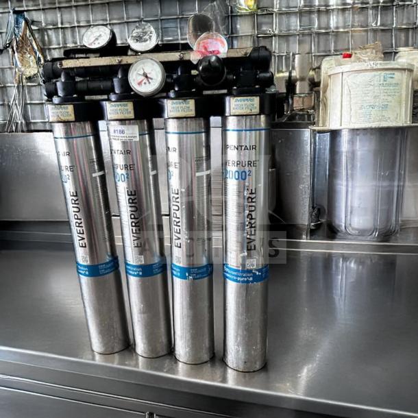 Pentair Everpure 20002 commercial water filtration system; multi-cartridge, high flow, fully tested, excellent condition.