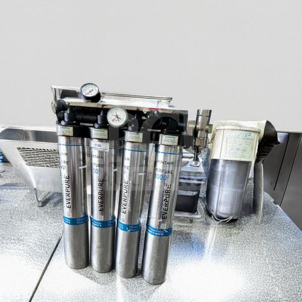 Pentair Everpure 20002 commercial water filtration system, multi-cartridge, high flow, gauges visible, excellent condition.