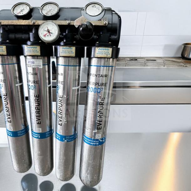 Pentair Everpure 20002 commercial water filtration system in superior condition, multi-cartridge high flow, tested, operational.