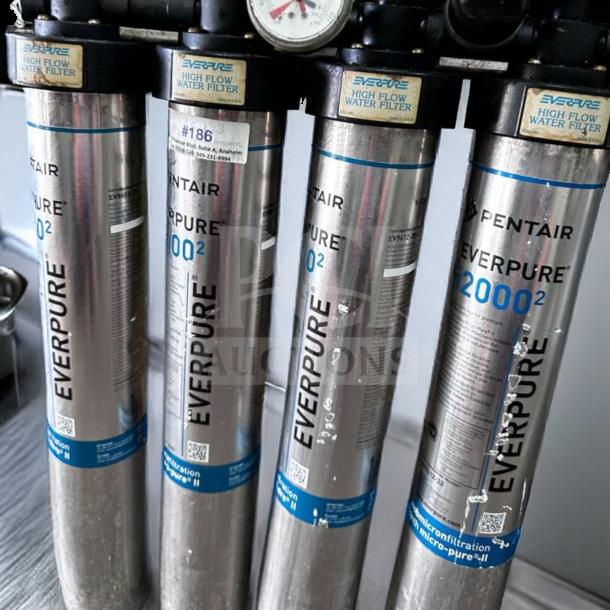 Pentair Everpure 20002 commercial water filtration system, multi-cartridge, superior condition, USA-made, fully tested.