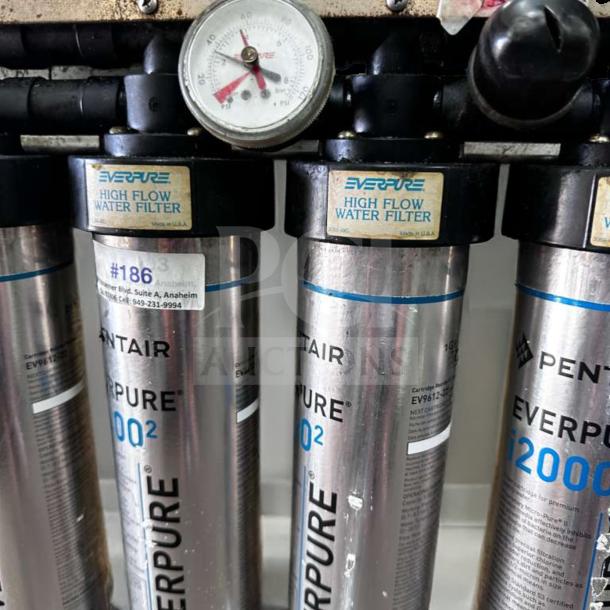 Pentair Everpure 20002 commercial water filtration system, multi-cartridge, high flow, fully tested, superior condition.
