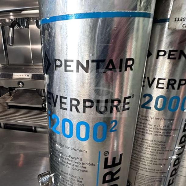 Pentair Everpure 20002 Commercial Water Filtration System in superior condition, multi-cartridge, fully tested and operational.