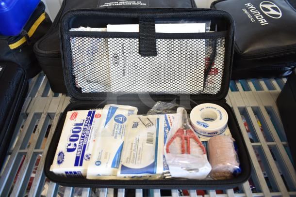Nine automotive kits including Hyundai, Nissan, Genesis, Kia first aid kits, and Volkswagen roadside assistance kit.