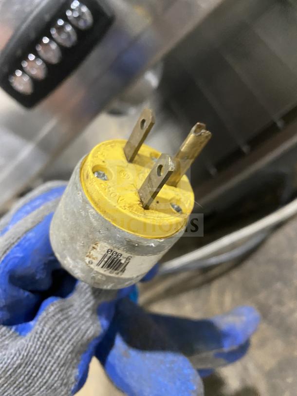Danesi CONTROL 3GR espresso machine plug, showing yellow 230V connector with visible markings and wear.