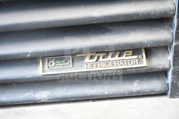 True GDM-49F-HC commercial freezer detail showing logo and "natural refrigerant" label on vented surface.