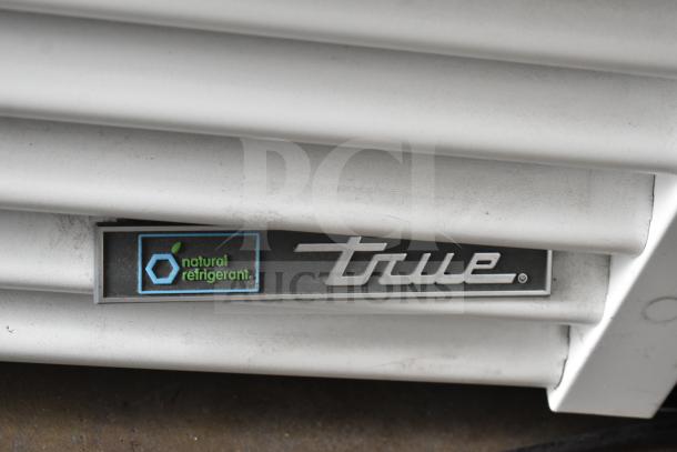 2021 True TSCI-600R-G-PH cooler, natural refrigerant label, commercial use, single door, 115V, 1 phase.