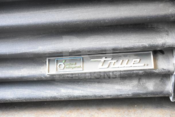 True GDM-49-HC freezer logo plate with "natural refrigerant" marking, highlighting its energy efficiency.