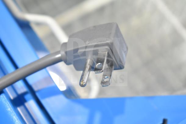 AHT RIO S 100 Commercial Ice Cream Freezer, 115 volts, 1 phase, close-up of power plug showing standard prongs.
