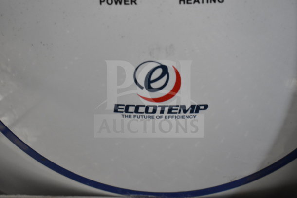 Logo of Eccotemp showcasing their slogan "The Future of Efficiency" against a white background.