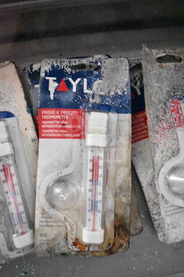 Packages of Taylor fridge and freezer thermometers, worn and dusty, with labeling in multiple languages.