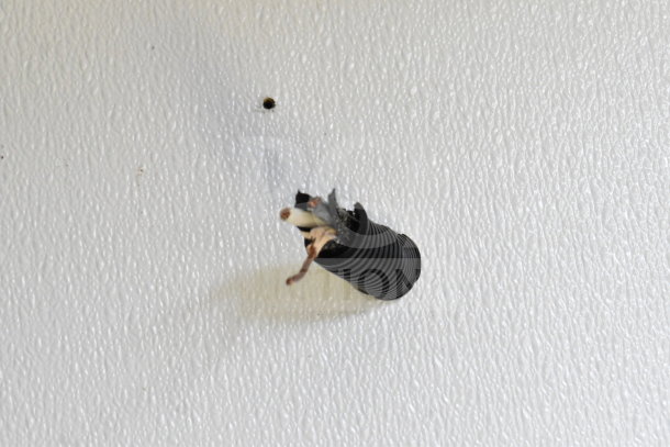 A hole in a textured white surface with exposed wiring from a black conduit.