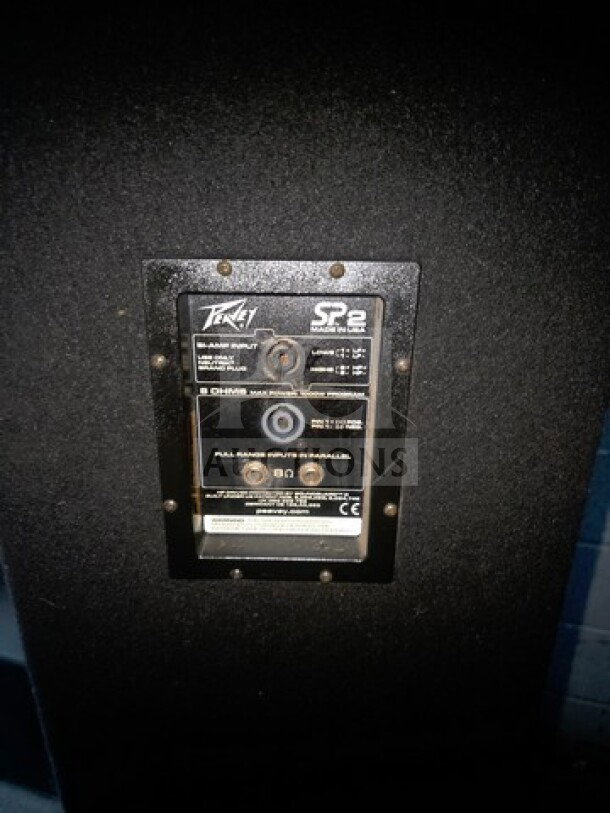 Lot of 2 Peavey SP 2 passive speakers, full-range, black casing, rear input panel visible, in good condition.