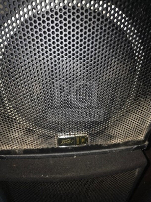 Alt text: Lot of 2 speakers, one Peavey and one Wharfedale Pro. Visible wear, sold as is. Peavey speaker grille shown.