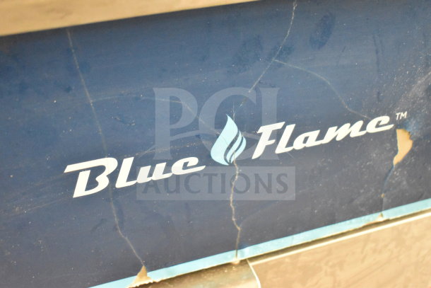 Blue Flame BFF-40-NG commercial deep fat fryer, 90,000 BTU, natural gas, visible logo, minor wear on the exterior.