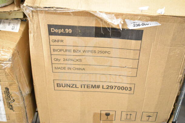 Cardboard box labeled "Dept.99" with Biopure BZK Wipes, 250PC, Qty: 24 packs. Includes item #L2970003.