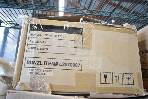 Cardboard box labeled "Biopure BZK Wipes 250CT," containing 12 packs. Made in China, Bunzl Item# L2970007. Expiry: 01/2027.