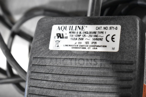 Aquiline pedal, Cat. No. 971-S, NEMA & UL enclosure type 1, by Linemaster Switch Corporation, Woodstock, CT, USA.