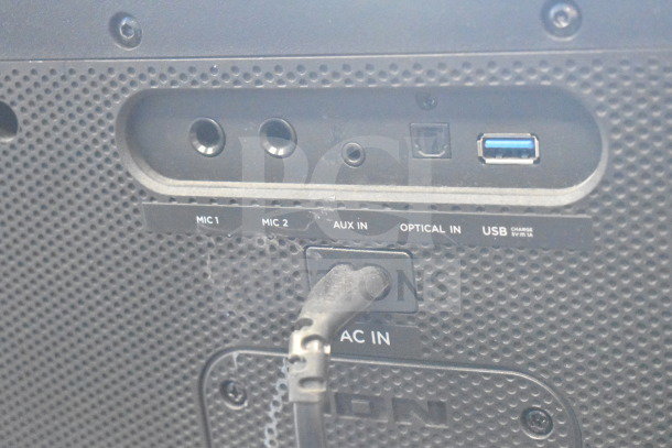 Ion Party Rocker Max speaker back panel with ports for MIC 1, MIC 2, AUX, optical, USB, and AC input.