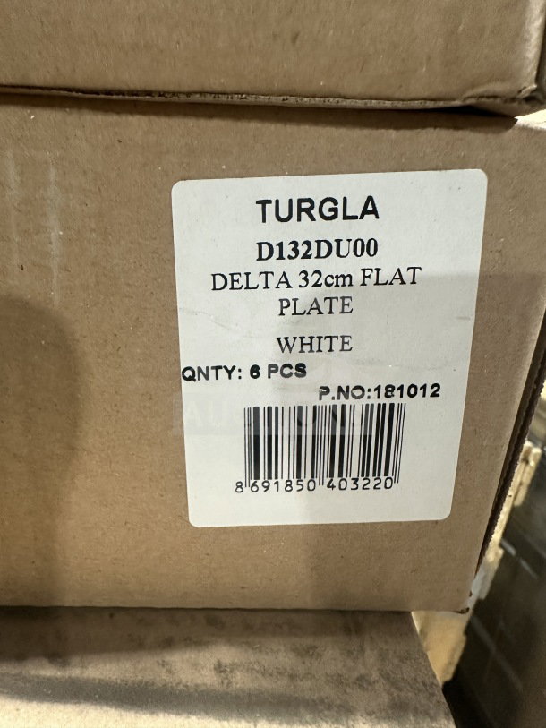 Box of 6 Turgla D132DU00 white porcelain plates, 12.5" diameter, rolled edge, wide rim. Model and serial numbers visible.