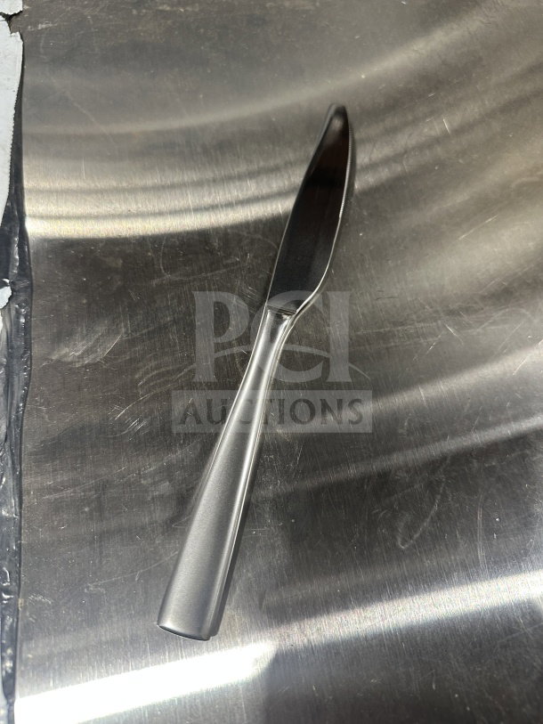 Brand new 9.25" stainless steel dinner knife, sleek design, part of a dozen per case set, ideal for commercial use.