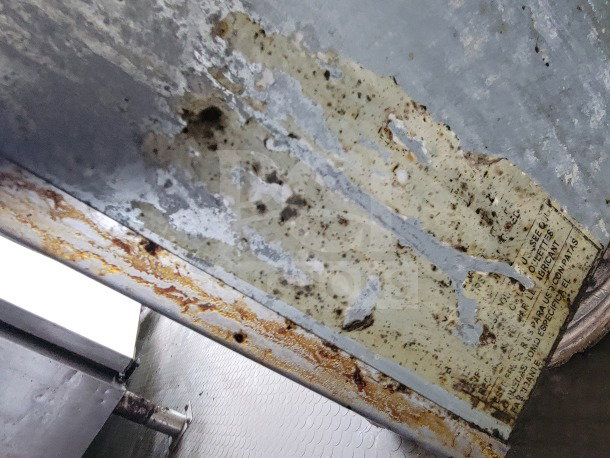 Close-up of a worn label on a 2019 Diamond Cargo mobile kitchen trailer, showing rust and peeling paint.