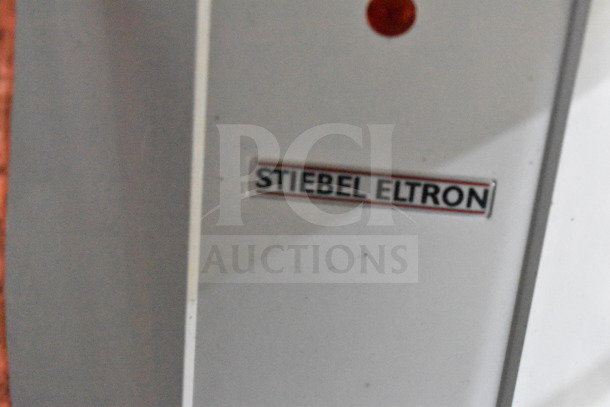 Titanium Cargo Trailers food trailer with Stiebel Eltron component. Includes grease hood, shake machine, fryer, refrigeration.