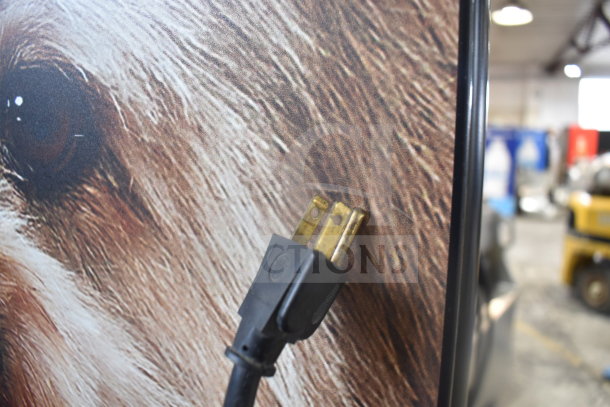True GDM-41SL-54 cooler plug detail, 115 volts, 1 phase. The photo shows the plug with a close-up texture of the cooler side.