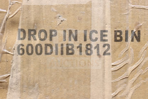 Regency 18" x 12" stainless steel drop-in ice bin, model 600DIIB1812, new in box with damaged packaging.