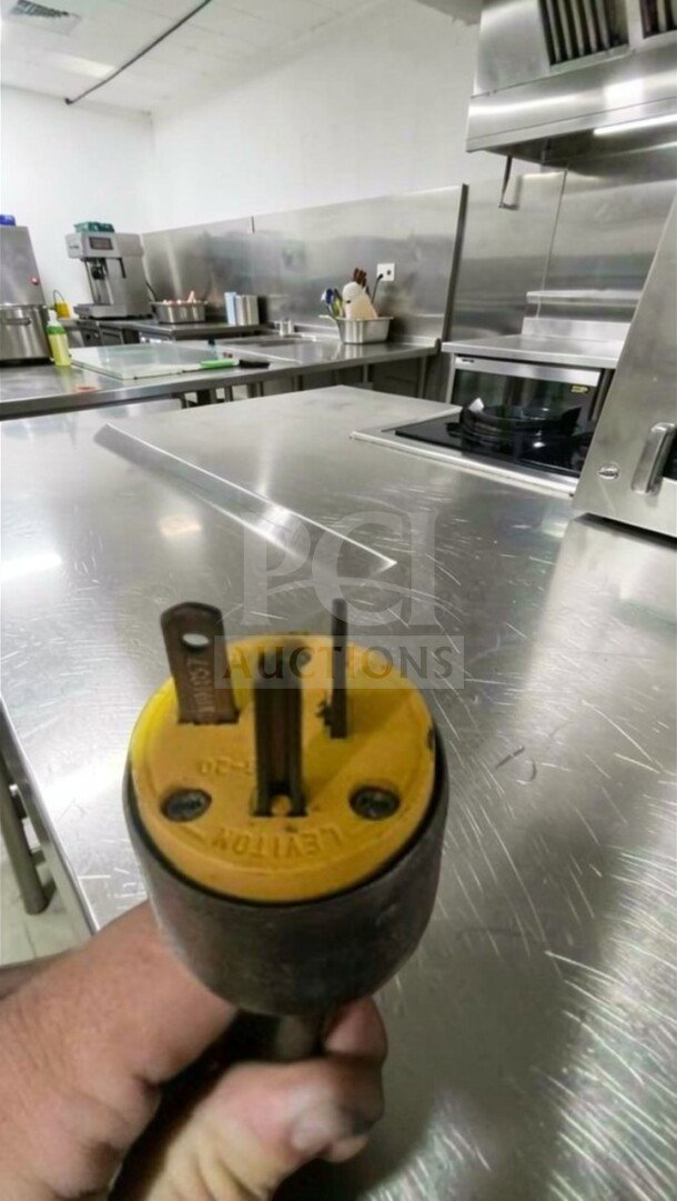 Nemco 6310-3-240 dual burner hot plate plug, 240V, NSF & ETL listed, in exceptional condition, fully tested.