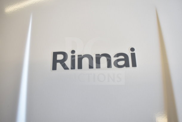 Rinnai V53De gas wall-mounted outdoor tankless water heater, 120V, 120,000 BTU, 5.3 GPM, brand new, scratch and dent condition.