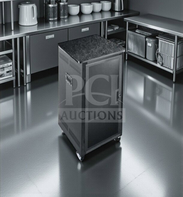 Middle Atlantic PTRK-2126MDK 21RU AV/server rack, 26" depth, graphite-marbled top, plexi front, portable, excellent condition.