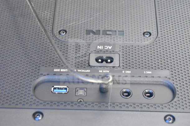 Back panel of Ion speaker with AC input, USB, optical, AUX, and mic inputs, labeled "ION."