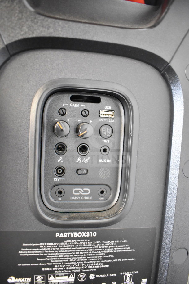 Close-up of JBL PartyBox 310 control panel showing gain knobs, USB port, AUX input, and Daisy Chain connectors.