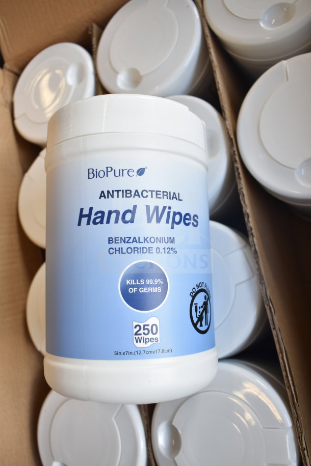 BioPure Antibacterial Hand Wipes, Benzalkonium Chloride 0.12%, 250 wipes per container, kills 99.9% germs, box of 12.