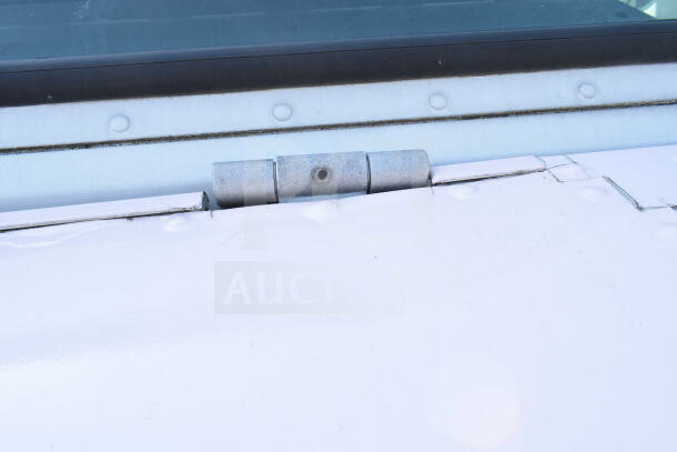 Close-up of a hinge on a 2020 Ford F59 food truck. The image shows part of the vehicle's exterior detailing.