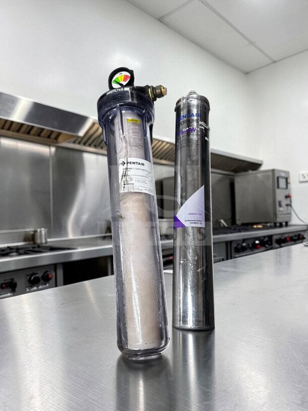 Pentair Everpure E-Series E20-DPI water filter system with EC210 prefilter and TFS-3W cartridge in high-grade condition.