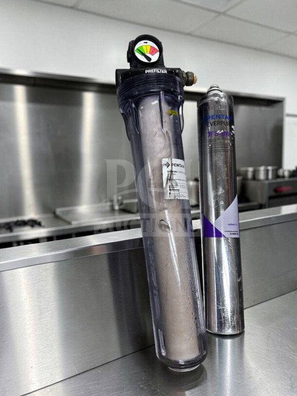Pentair Everpure E20-DPI water filter system with EC210 prefilter and TFS-3W cartridge, high-grade and ready for use.