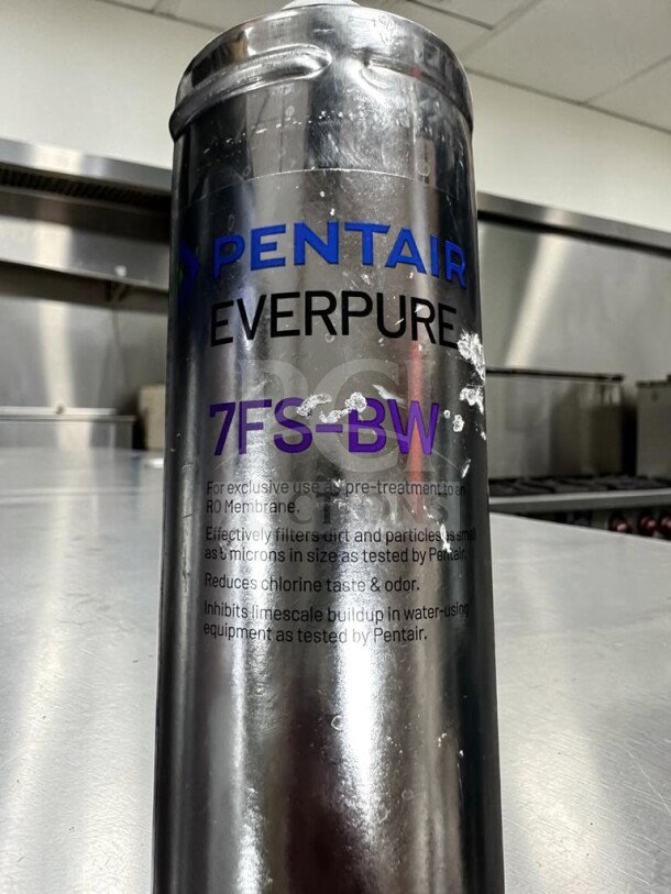 Pentair Everpure water filter system showing E20-DPI label, in high-grade condition, for commercial filtration use.