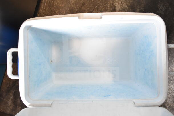 Three portable coolers; two blue and one red. Features sturdy handles and spacious interiors. Auction includes all three.