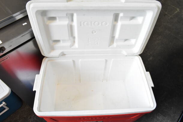 Three portable Igloo coolers, two blue and one red. Red cooler open shows clean interior. Made in USA marking visible.