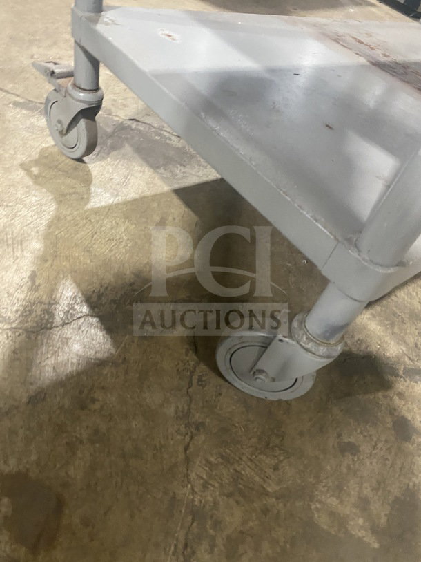 Maintained commercial stainless steel equipment stand with two compartments on casters, showcasing durable construction.