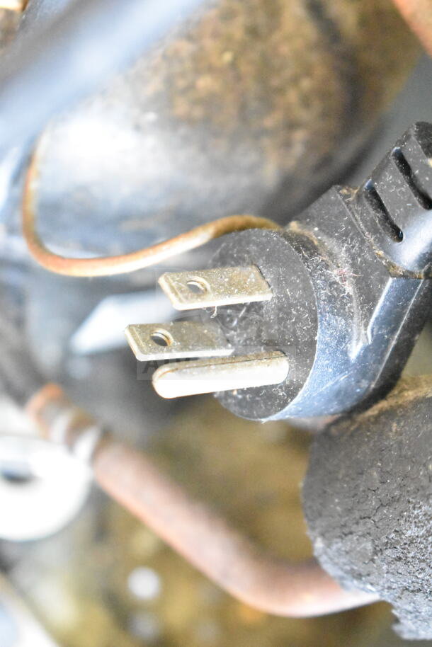 Close-up of a power plug for a Delfield 406CA-DHL-DD1 undercounter cooler, 115 volts, 1 phase.